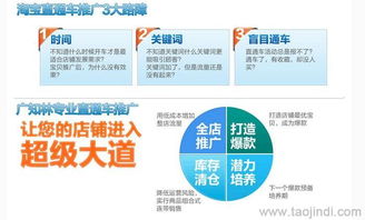 天貓店鋪推廣與運營全攻略 裝修、拍照、產品描述與軟件開發價格解析