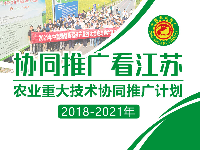 農(nóng)科教協(xié)同 江蘇構(gòu)建農(nóng)業(yè)重大技術(shù)協(xié)同推廣新格局的實踐路徑